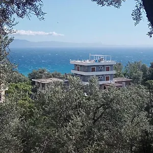 Adrian Agustin Albania